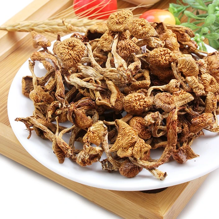 东北滑子菇非榛蘑2022头茬新货东北特产产地直供蘑菇干货250g