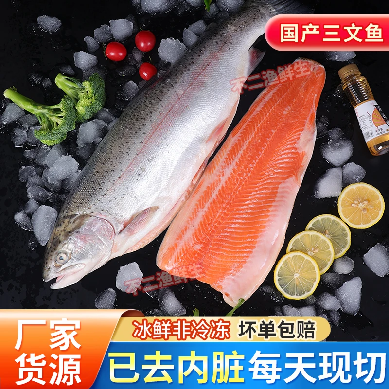 新疆三文鱼整条6斤去内脏冰鲜三文鱼刺身新鲜日料寿司虹鳟鳟科鱼