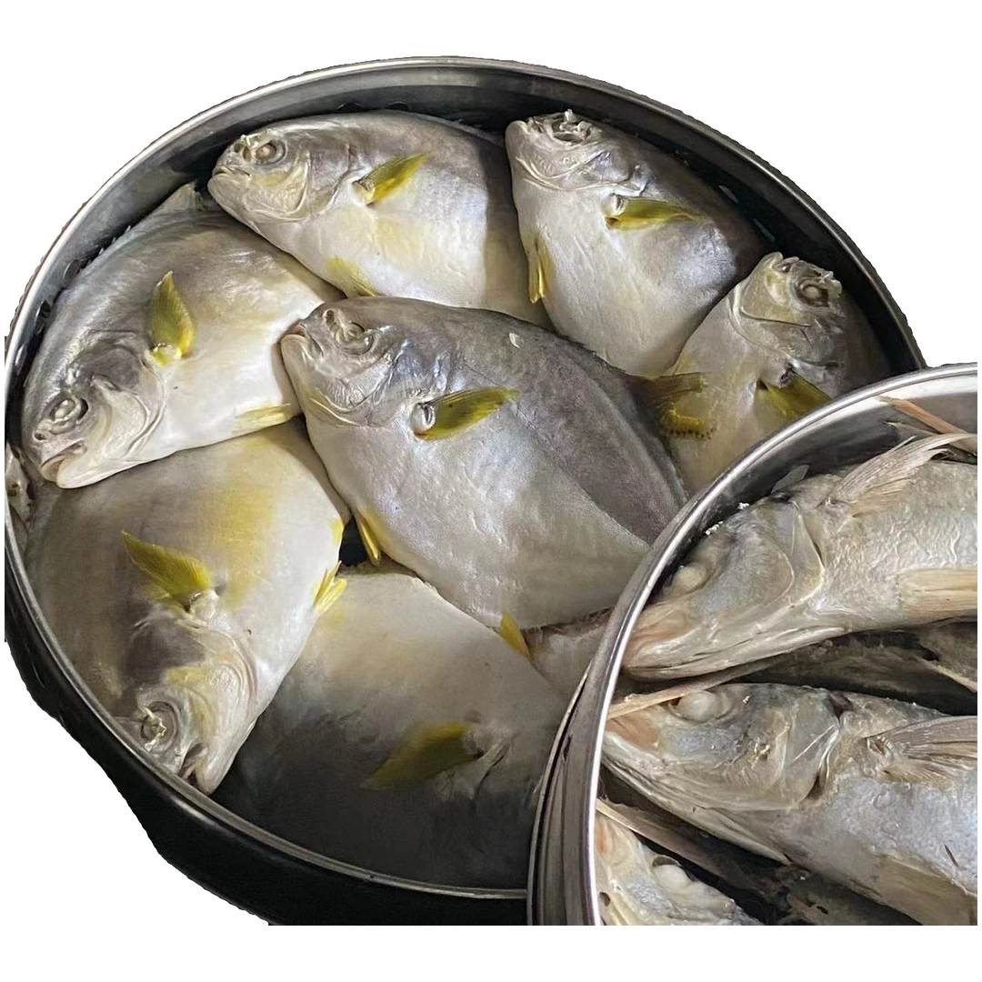 潮汕打冷秋刀鱼饭，金昌鱼饭，红鱼饭活动