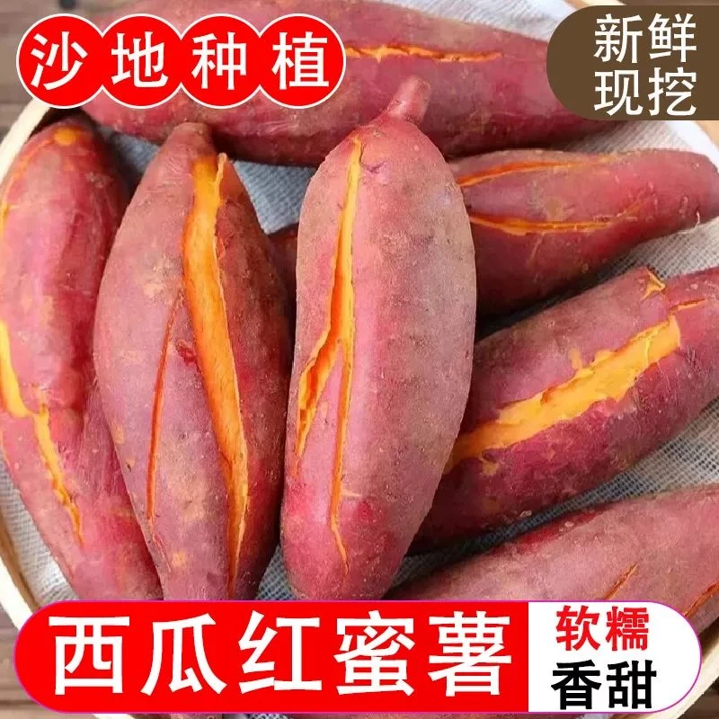 【抢购中】现挖现发沙地蜜薯新鲜1/5/9板栗薯地瓜番薯蔬菜粗粮红薯