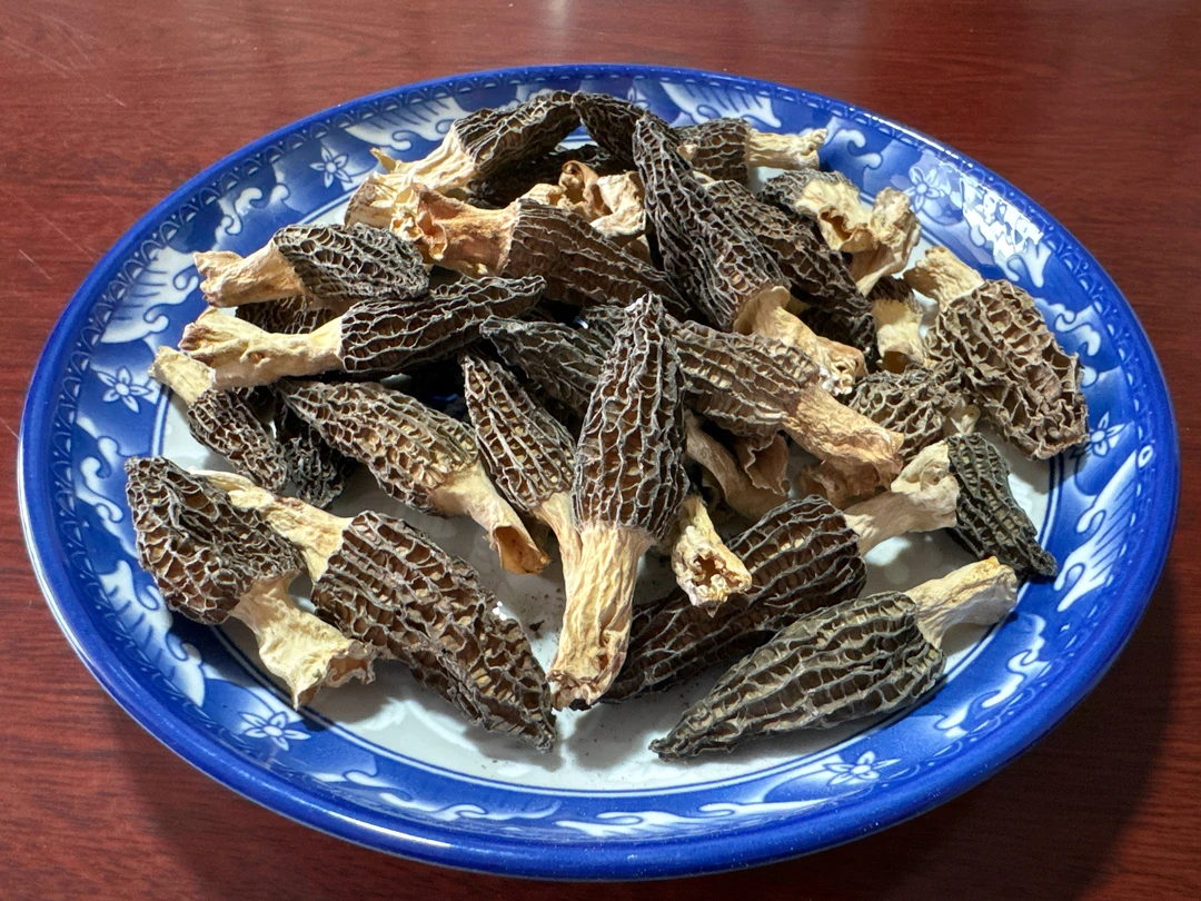 大沙镇青山村羊肚菌，