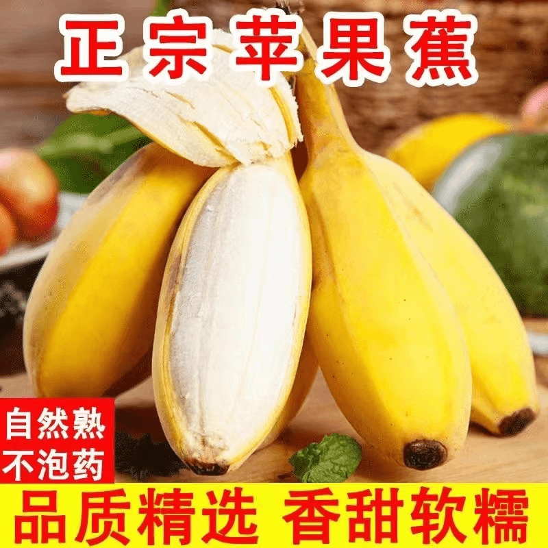 正宗苹果蕉应季新鲜9斤5斤水果香蕉产地直销自然成熟软糯香甜A