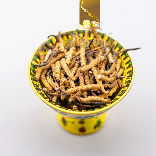 藏地御良正品西藏那曲冬虫夏草中小断虫草