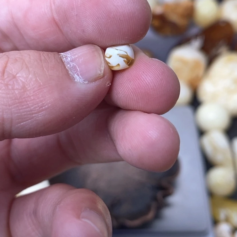 【闪购商品】琥珀裸石未镶嵌