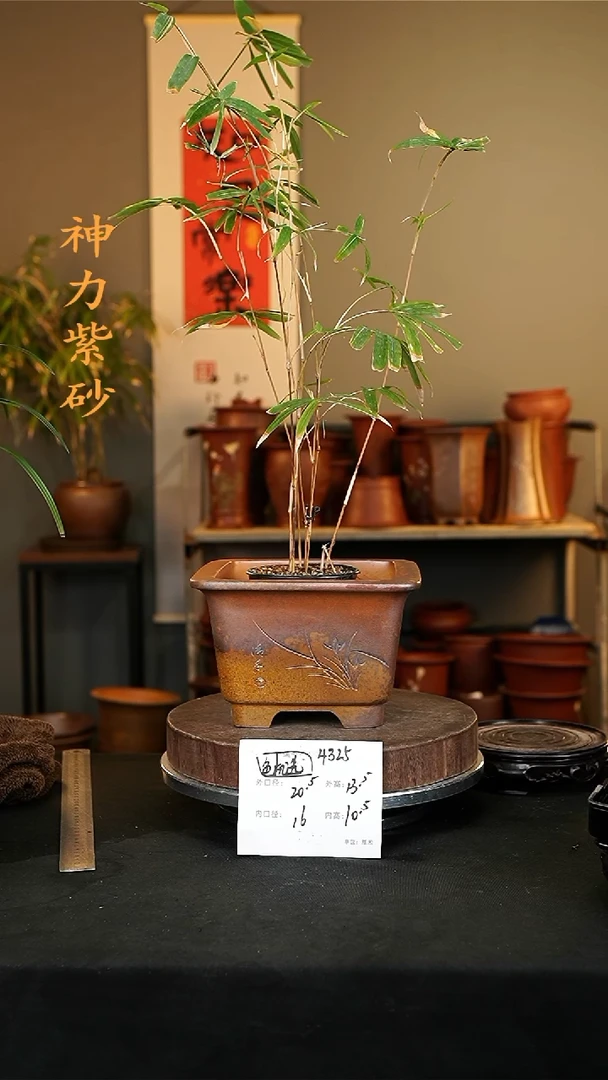 【闪购商品】紫砂花盆4325颜色机选