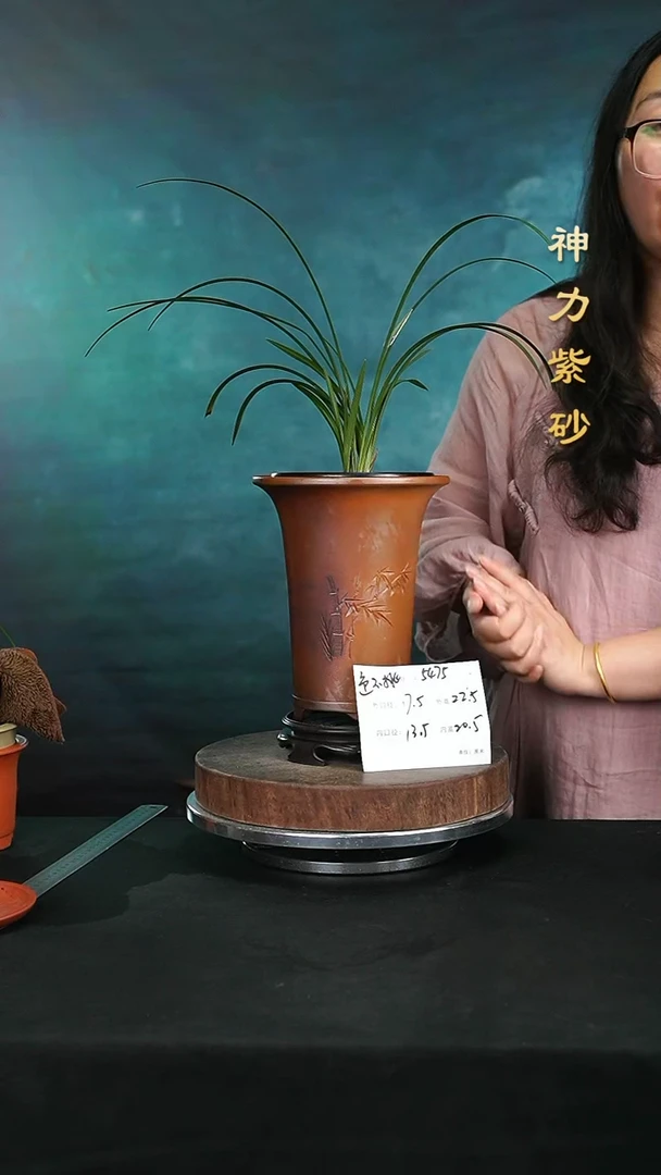 【闪购商品】紫砂花盆5475+s颜色机选