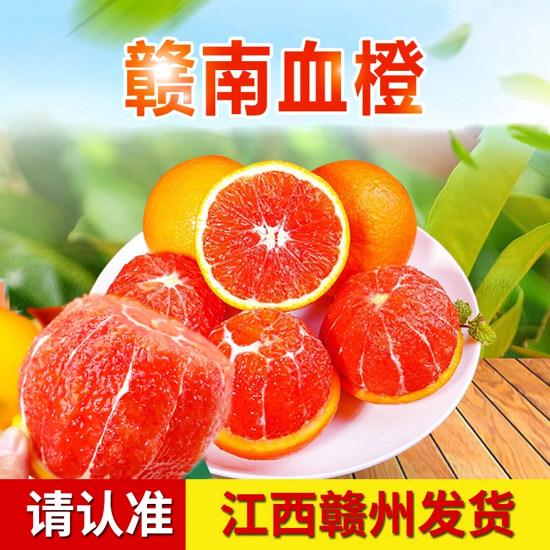 赣南血橙 正宗赣州血橙产地果园现摘