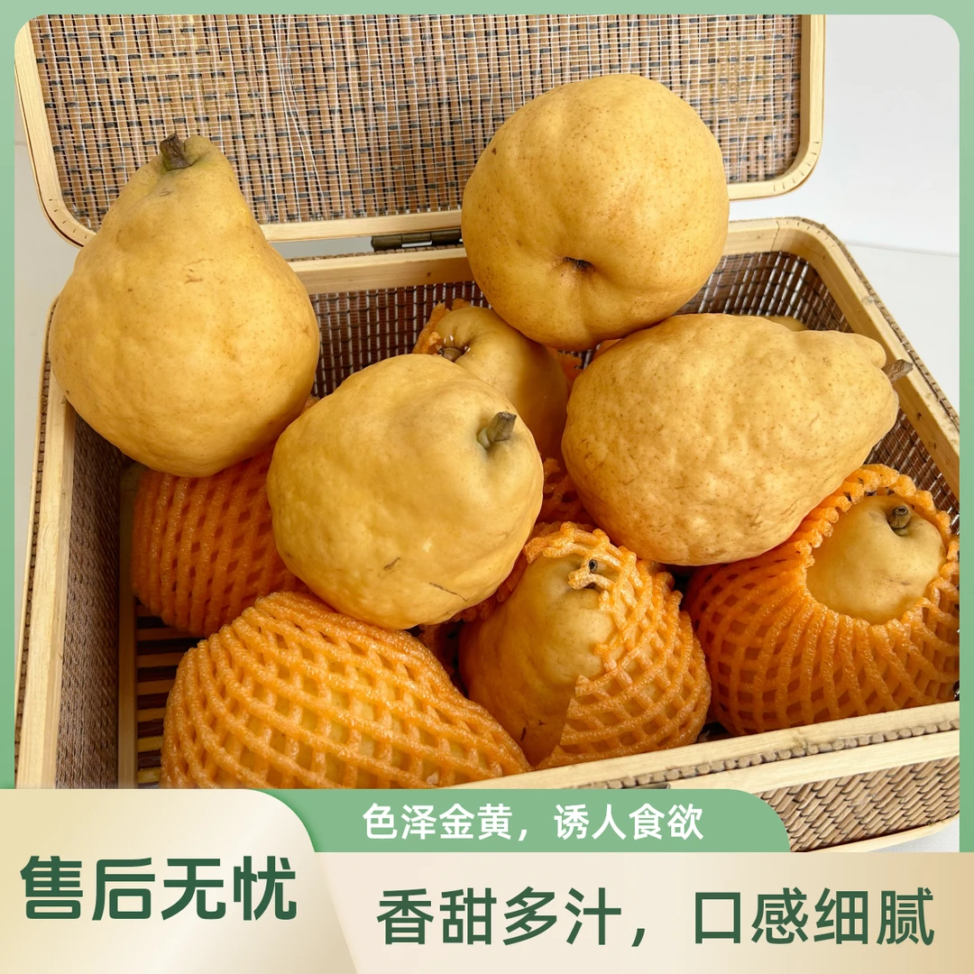 正宗山东烟台中华丑梨莱阳软糯多汁非太婆梨奇异水果新鲜包邮