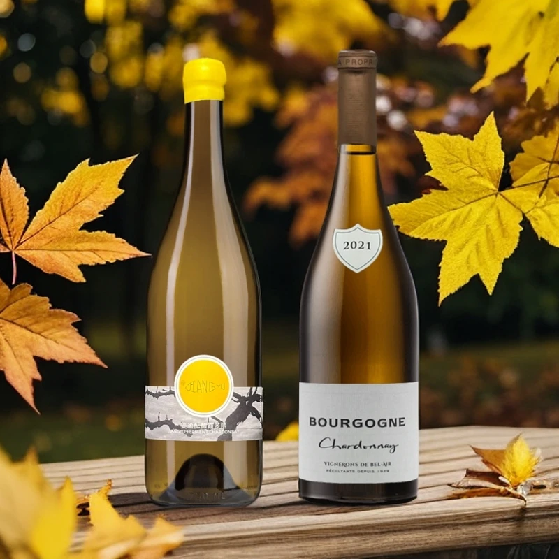 蓓莱尔勃艮第干白葡萄酒2021