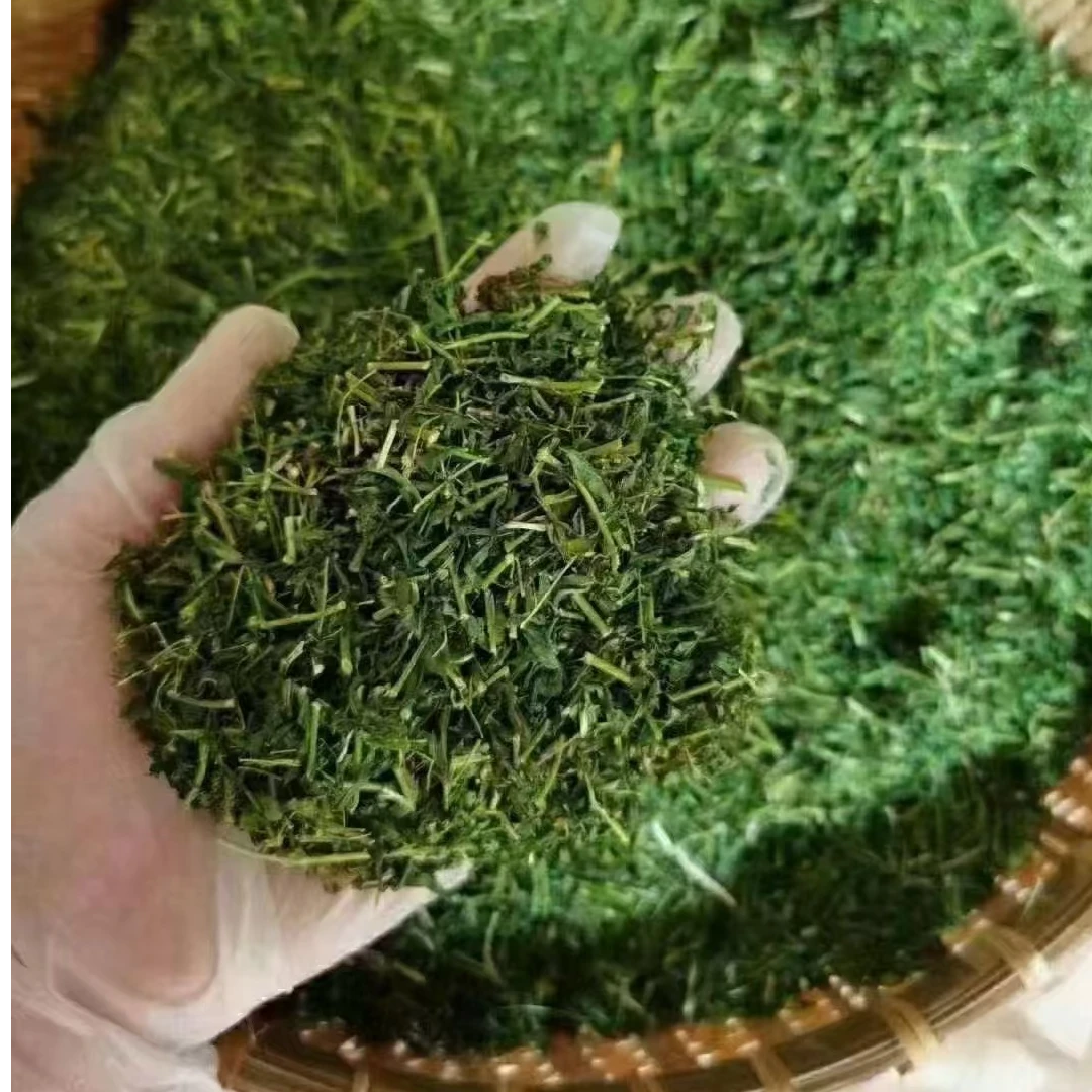 【张近】粤北大山甜鸡骨叶，相思叶，250克/500克包邮