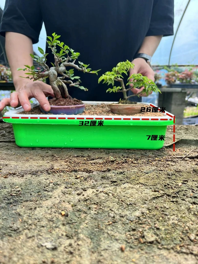 盆景沙盘保湿利于扎根夏季必备双层有托盘小微盆栽沙床