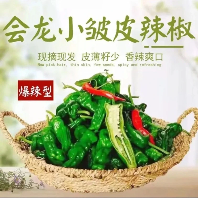 【不辣包赔】特辣香辣小皱皮辣椒螺丝椒炒辣子鸡专用1斤/3斤/5斤