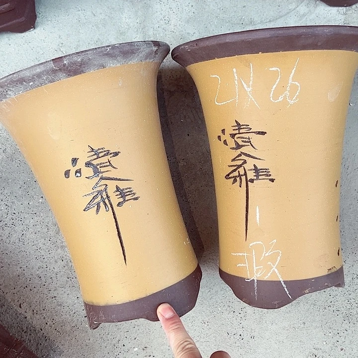 红陶紫砂紫砂紫砂