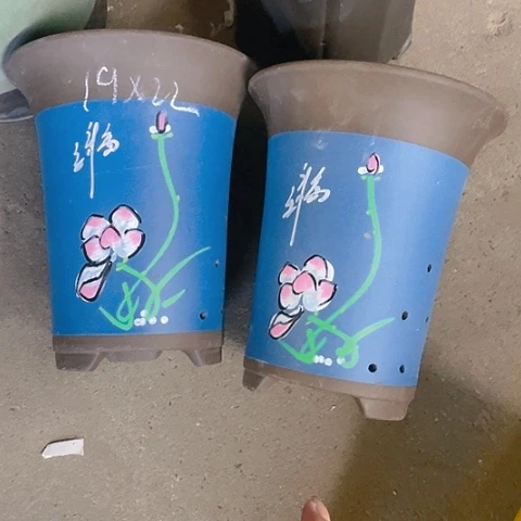 红陶110CM（含）-140CM（不含）紫砂紫砂