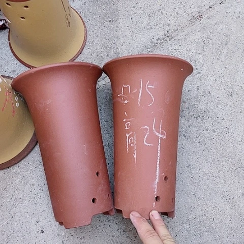 红陶110CM（含）-140CM（不含）众所周知