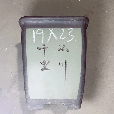 红陶140CM（含）-170CM（不含）紫纱花盆里