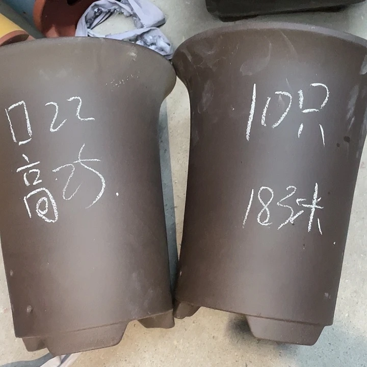 红陶紫砂紫砂紫砂