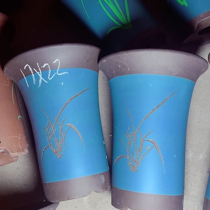 红陶20CM（含）-50CM（不含）紫砂紫砂