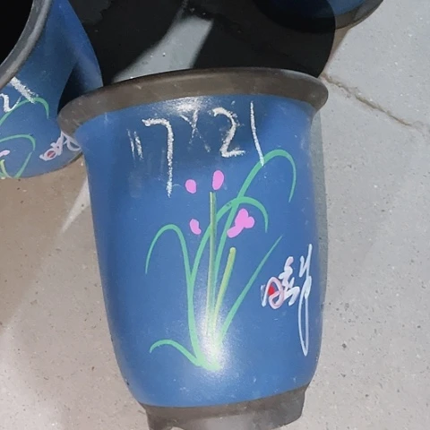 红陶110CM（含）-140CM（不含）紫砂紫砂