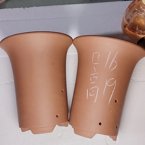 红陶110CM（含）-140CM（不含）紫砂紫砂