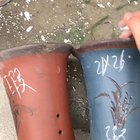 红陶110CM（含）-140CM（不含）紫砂紫砂
