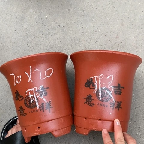 红陶110CM（含）-140CM（不含）紫砂紫砂。