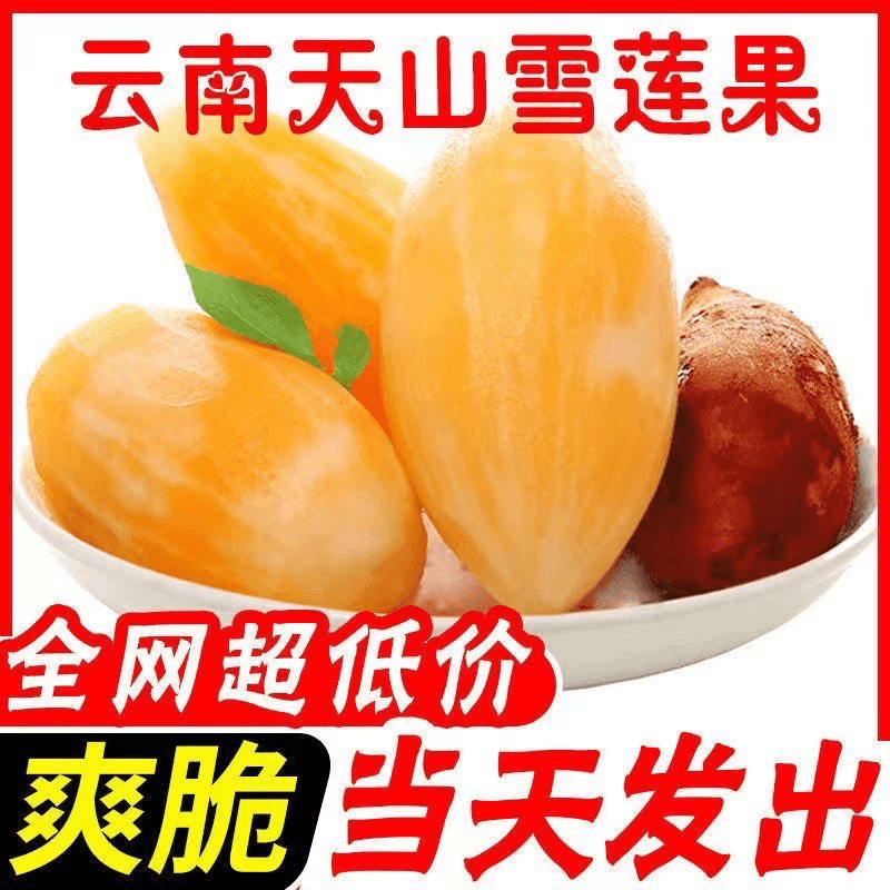 【五折优惠】新鲜天山雪莲果红心正宗新鲜脆甜黄心1/5/9斤一箱水果