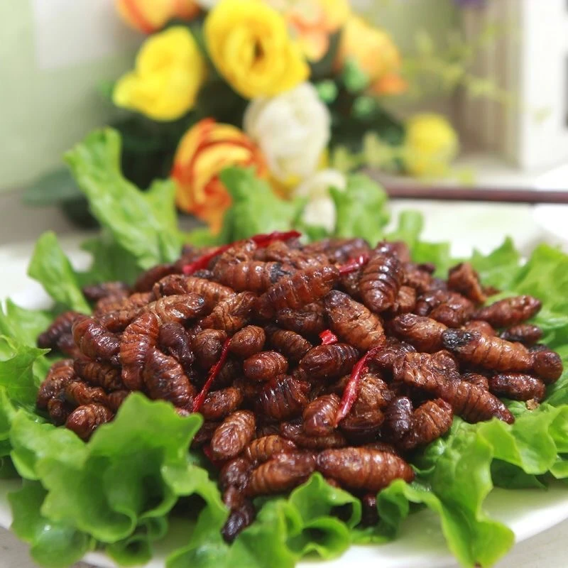 美味蚕蛹山东淄博特产健康香酥爽口水煮五香辣麻辣小蚕蛹80克油炸