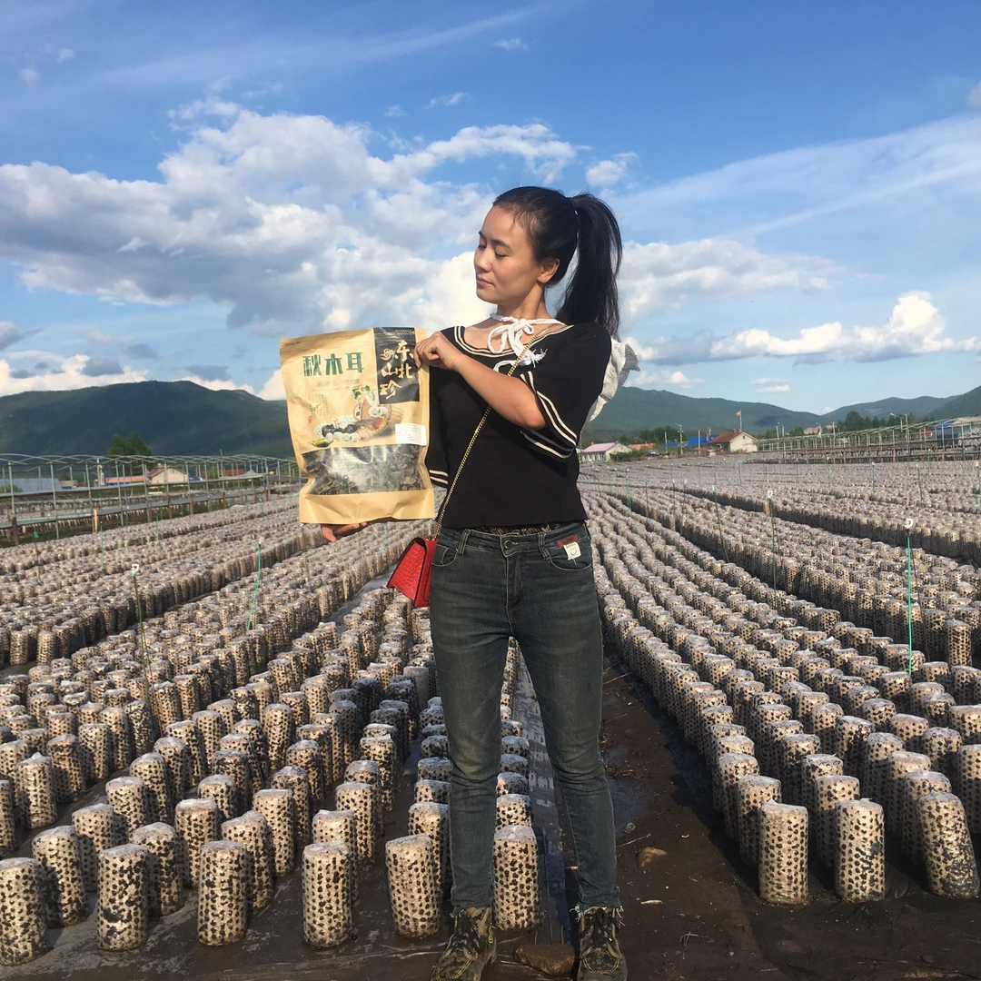 兴安岭头茬黑木耳橱窗百货大胆正品干货500g2023 250g黑木耳