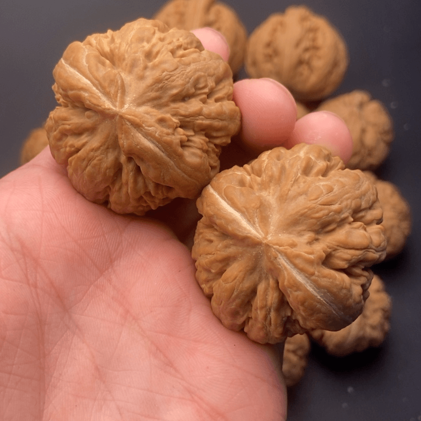 【闪购商品】文玩核桃把件42✖️44霸王龙