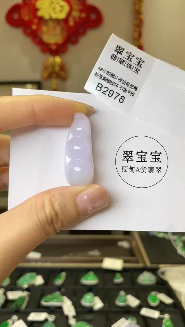 【闪购商品】翡翠颈饰未镶嵌B2978 豆子 含运营费