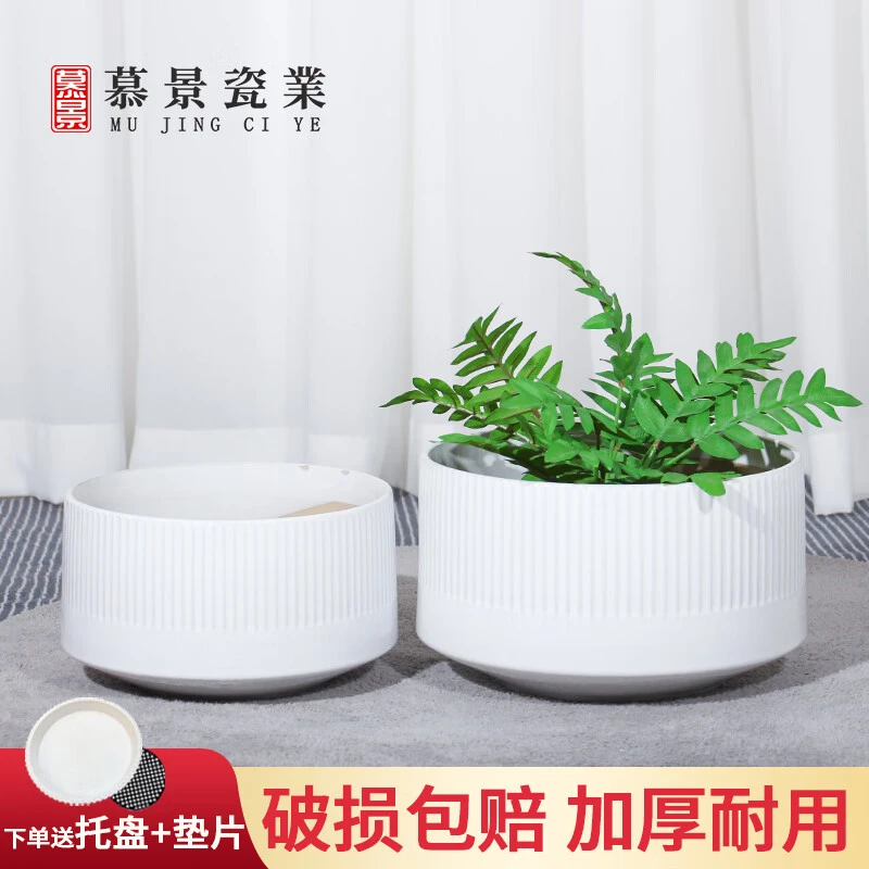 北欧花盆陶瓷创意个性家用小号桌面简约白色百搭虎皮兰多肉绿植盆