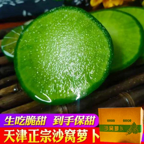 天津正宗沙窝萝卜生吃脆甜水果营养新鲜营感产地菜园绿色饱满种植