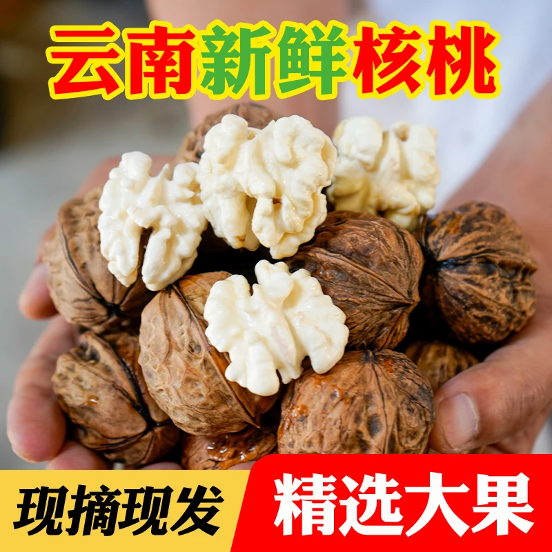 2025云南老树鲜核桃3/5/8斤湿核桃新鲜孕妈妈当季水果现摘薄皮