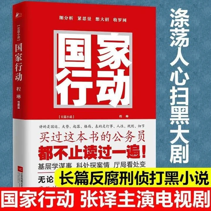 【官方正版·现货速发】国家行动书籍 程琳著 张译主演同名电视剧