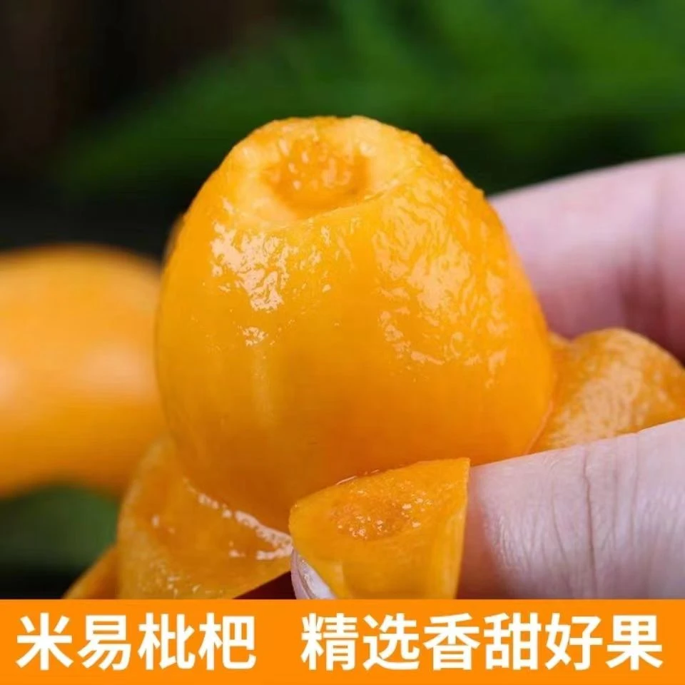 四川米易早春甜枇杷新鲜采摘香甜多汁当季琵琶孕妇适宜2/3/5斤