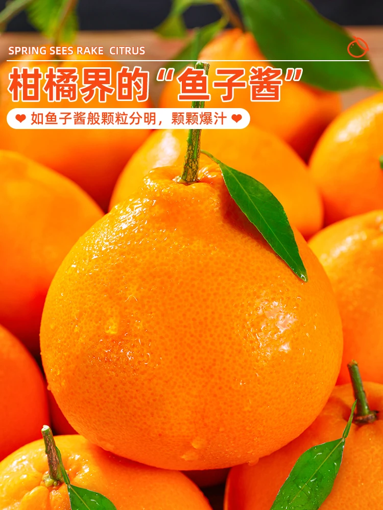 四川春见耙耙柑8斤新鲜水果整箱当季年货粑粑桔子不橘子知火1斤