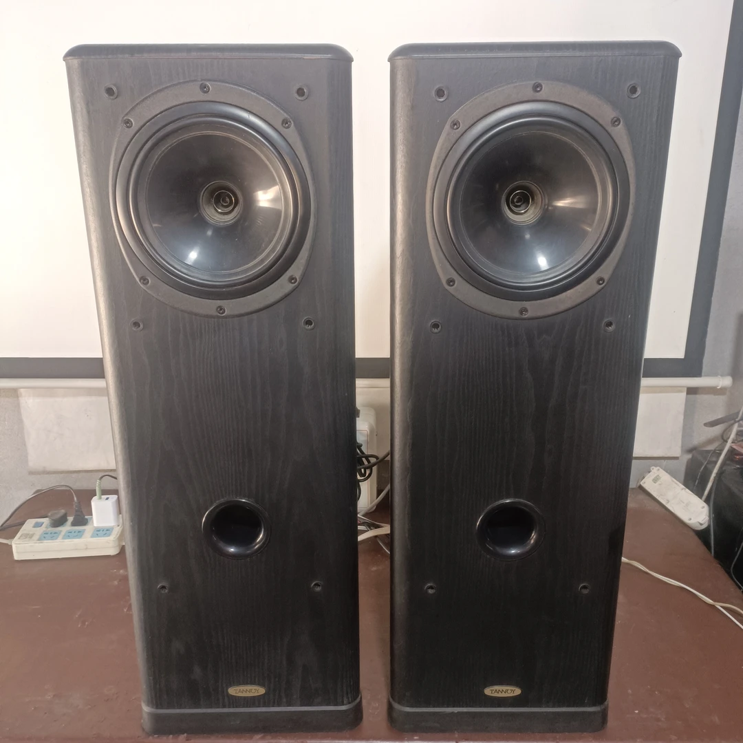 9新  【天朗 型号635   八寸同轴HiFi落地音响一对  】不包邮