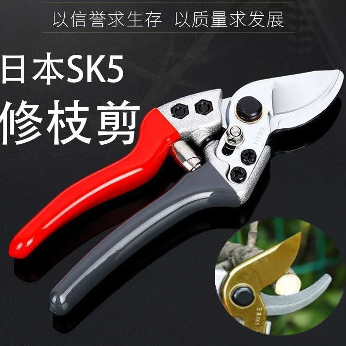 修枝剪刀园艺剪修树枝剪刀剪树剪子省力多功能剪树枝剪枝修花果剪