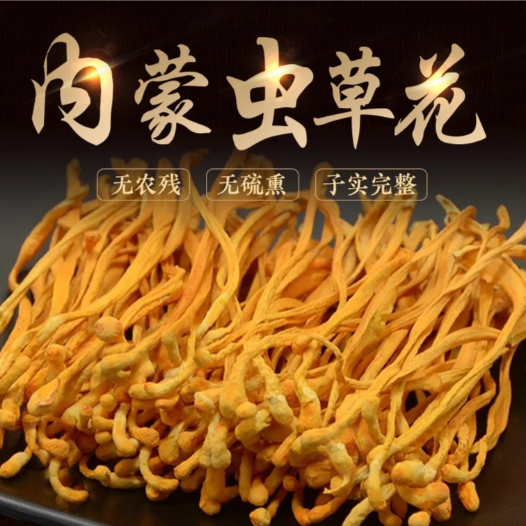 孢子头虫草花干货新鲜无硫内蒙北虫草花煲汤干货北金蛹虫草带百合