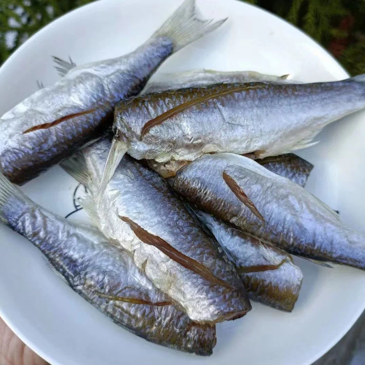 新鲜虫鱼干鲻鱼干新鲜晾晒500g肉质细腻肥嫩