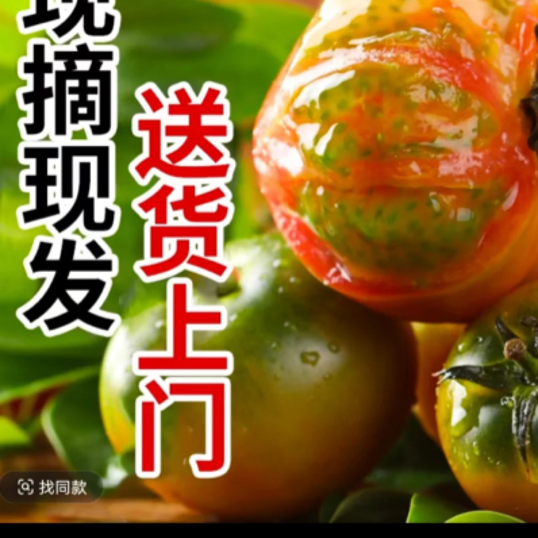 盘锦正宗碱地柿子 京东包邮 铁皮柿子 五斤精品中果30-40个