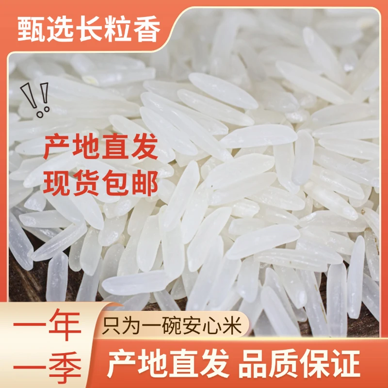 【米厂福利】甄选10斤2024年新米长粒香米猫牙米高原农家香米