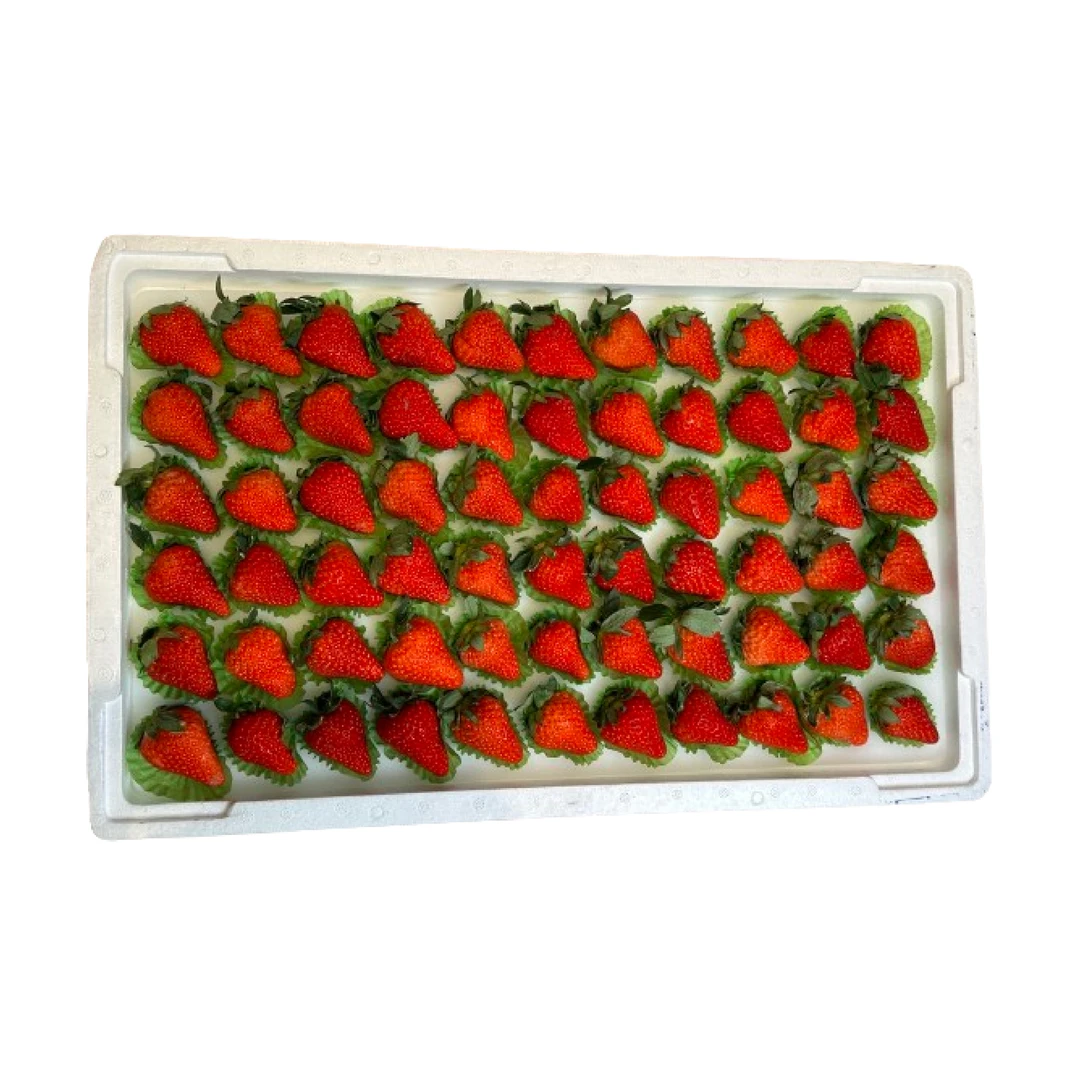 【整件】红颜草莓(2kg±80g)