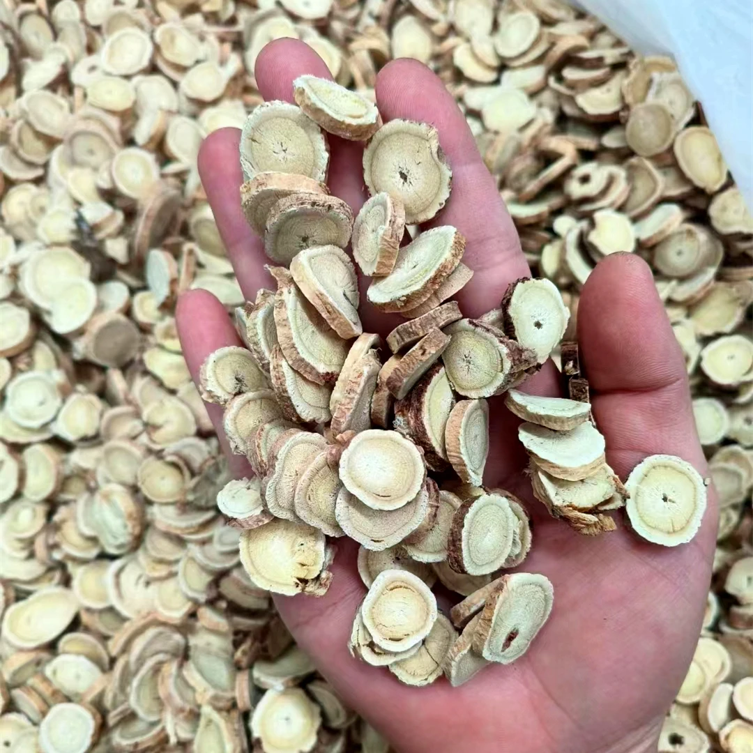 长白山野生黄芩黄芪汤切片煲汤泡水