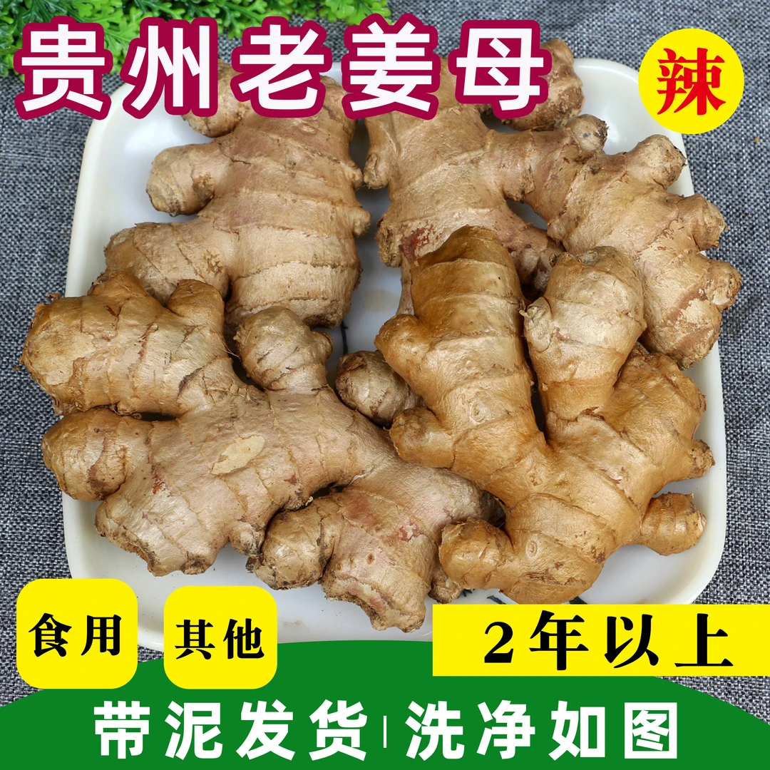 贵州农家种植老姜母两年老生姜辛辣十足炒菜煲汤调味佐料月子泡姜