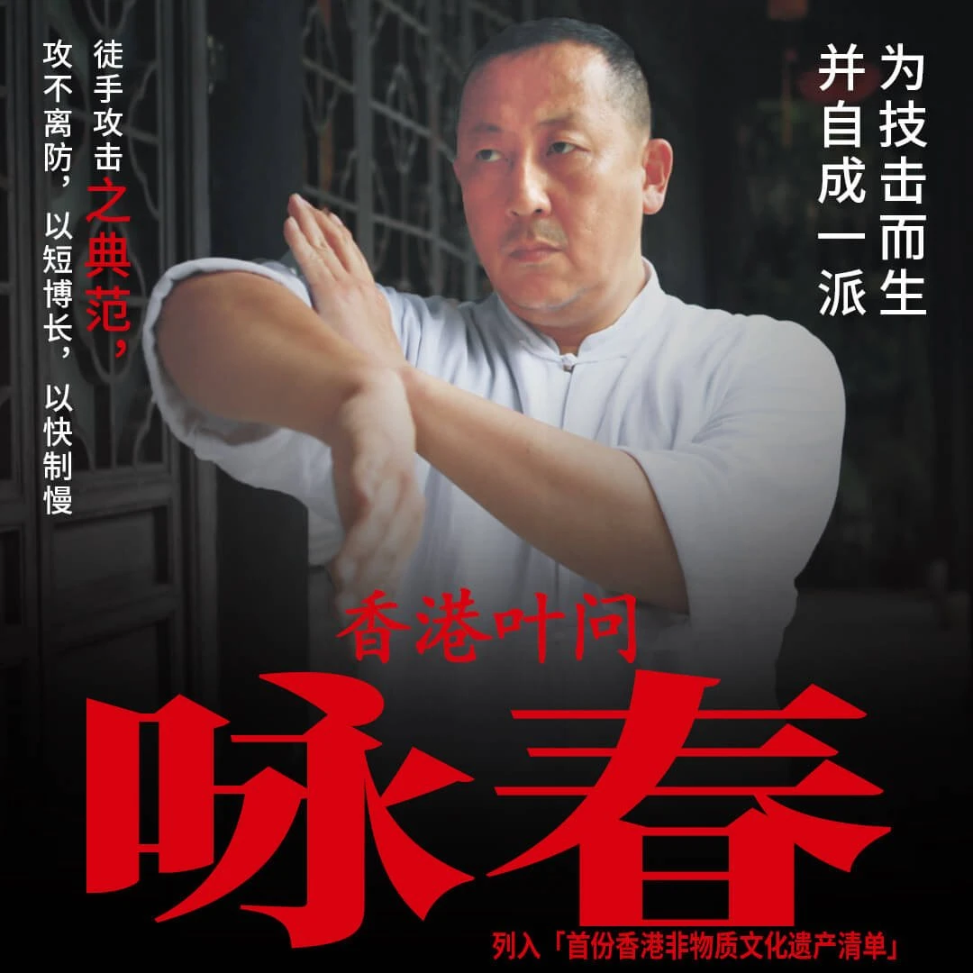 叶问咏春小念头寻桥 新手入门到实战格斗搏击武术教程寸拳功夫