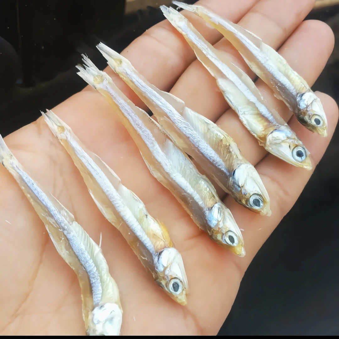 广东本港海鱼白帆鱼干公鱼仔小鱼干海产干货250g/500g博贺港包邮