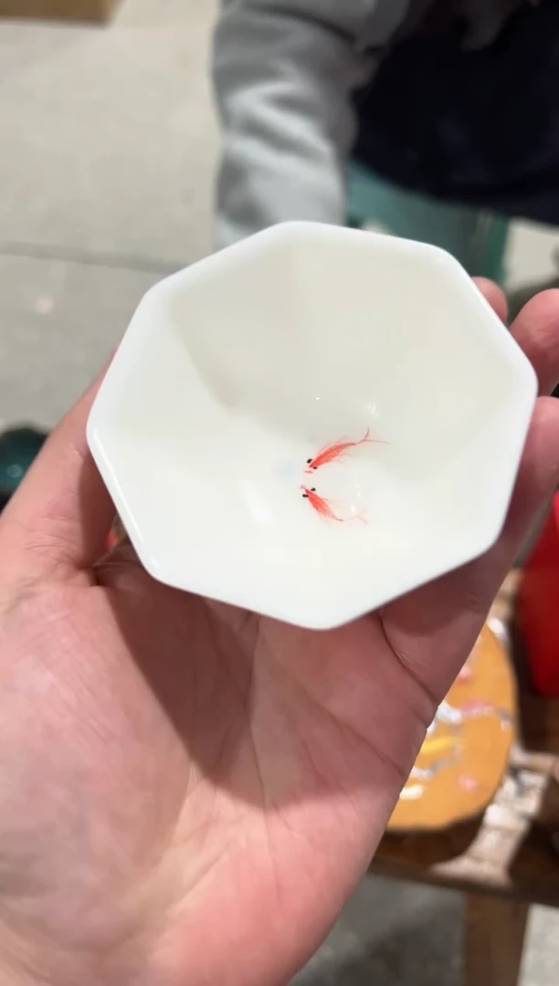 【闪购商品】瓷其他@@DH017