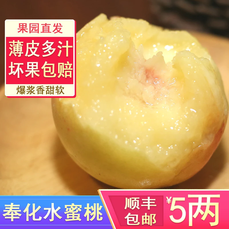 奉化水蜜桃 5两左右桃王10只装